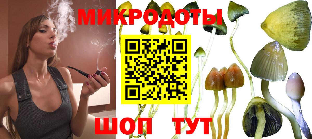 Альфа ПВП Клин