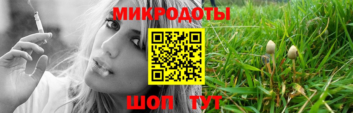 купить  цена  Вход с VPN  Клин  Псилоцибиновые грибы мухоморы 